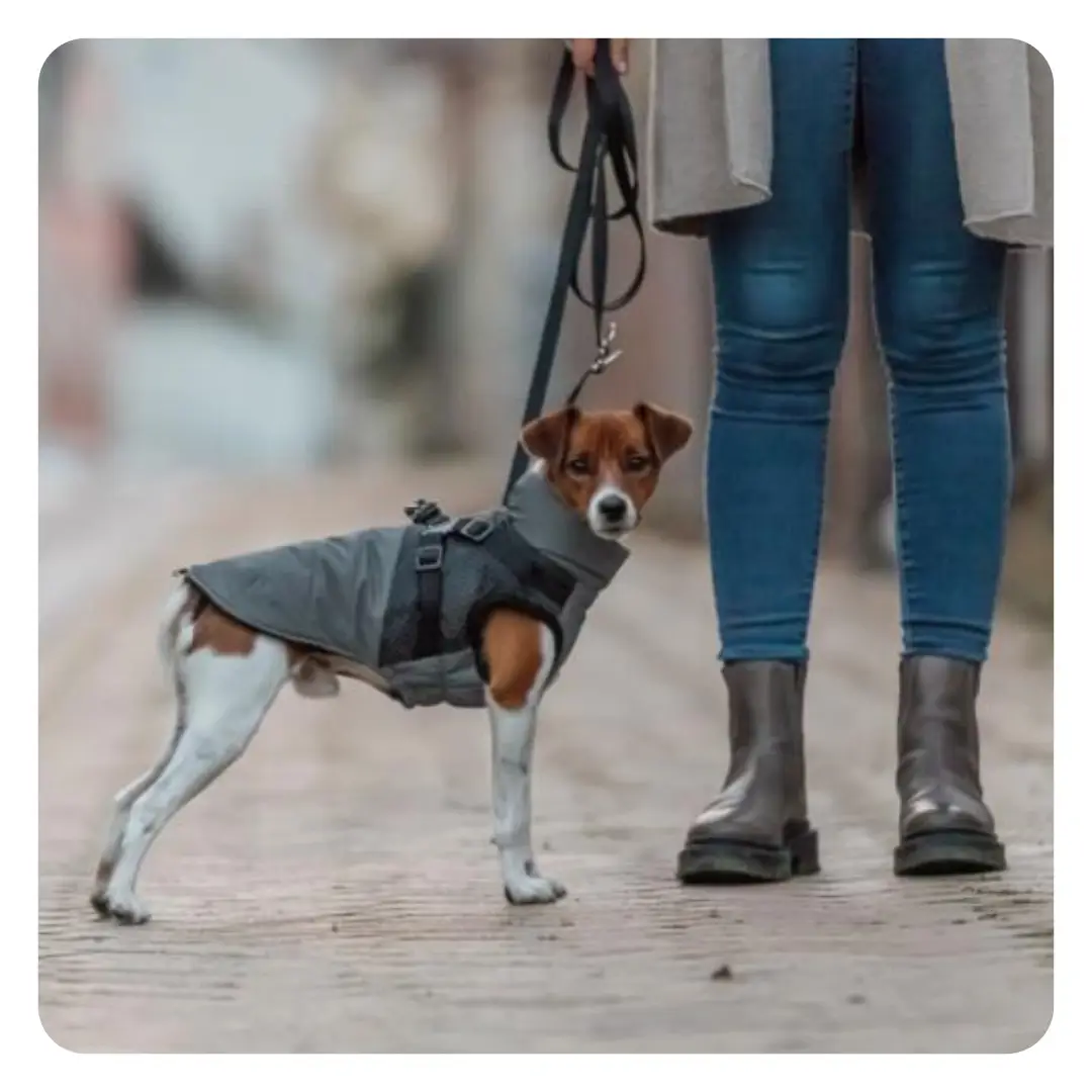 Trixie Pontis Reflekterende Hundejakke Med Integreret Sele Grå - Billede 4