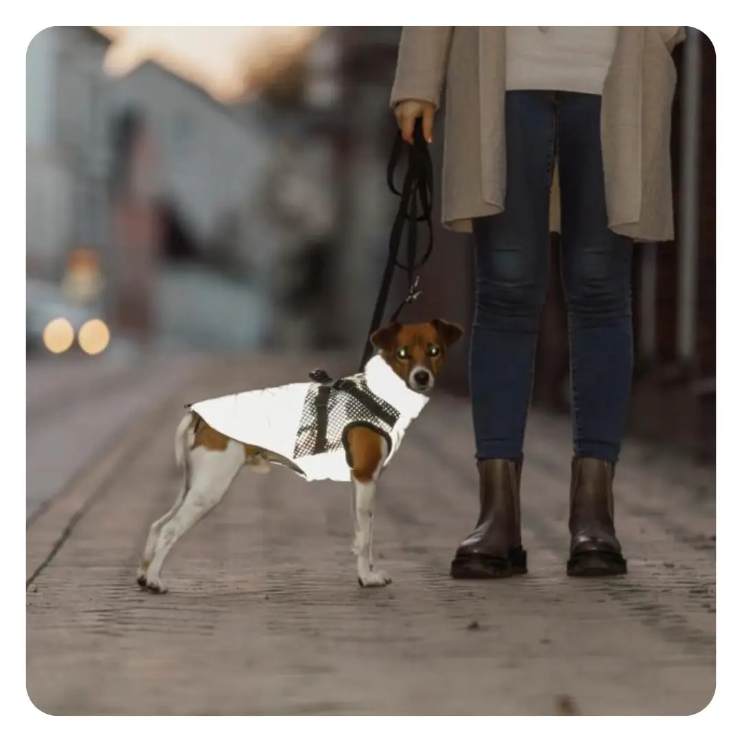 Trixie Pontis Reflekterende Hundejakke Med Integreret Sele Grå - Billede 5