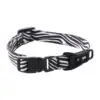 Rogz Nylonhalsbånd Fusiondog Wild Zebra