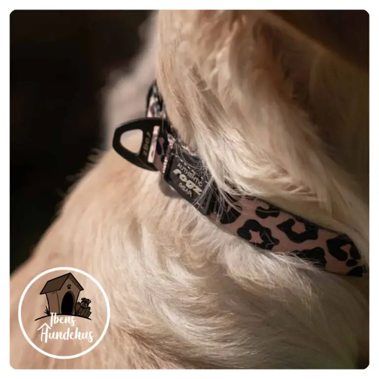 Rogz Nylonhalsbånd Fusiondog Wild Leopard - Ibens Hundehus