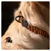 Rogz Nylonhalsbånd Fusiondog Wild Tiger - Ibens Hundehus