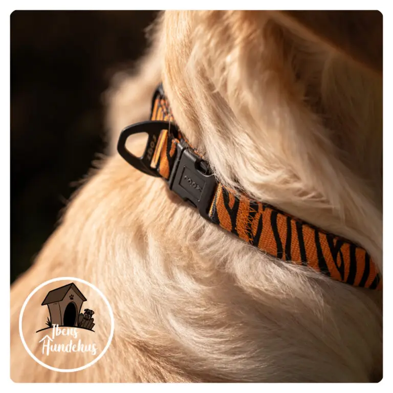 Rogz Nylonhalsbånd Fusiondog Wild Tiger - Ibens Hundehus