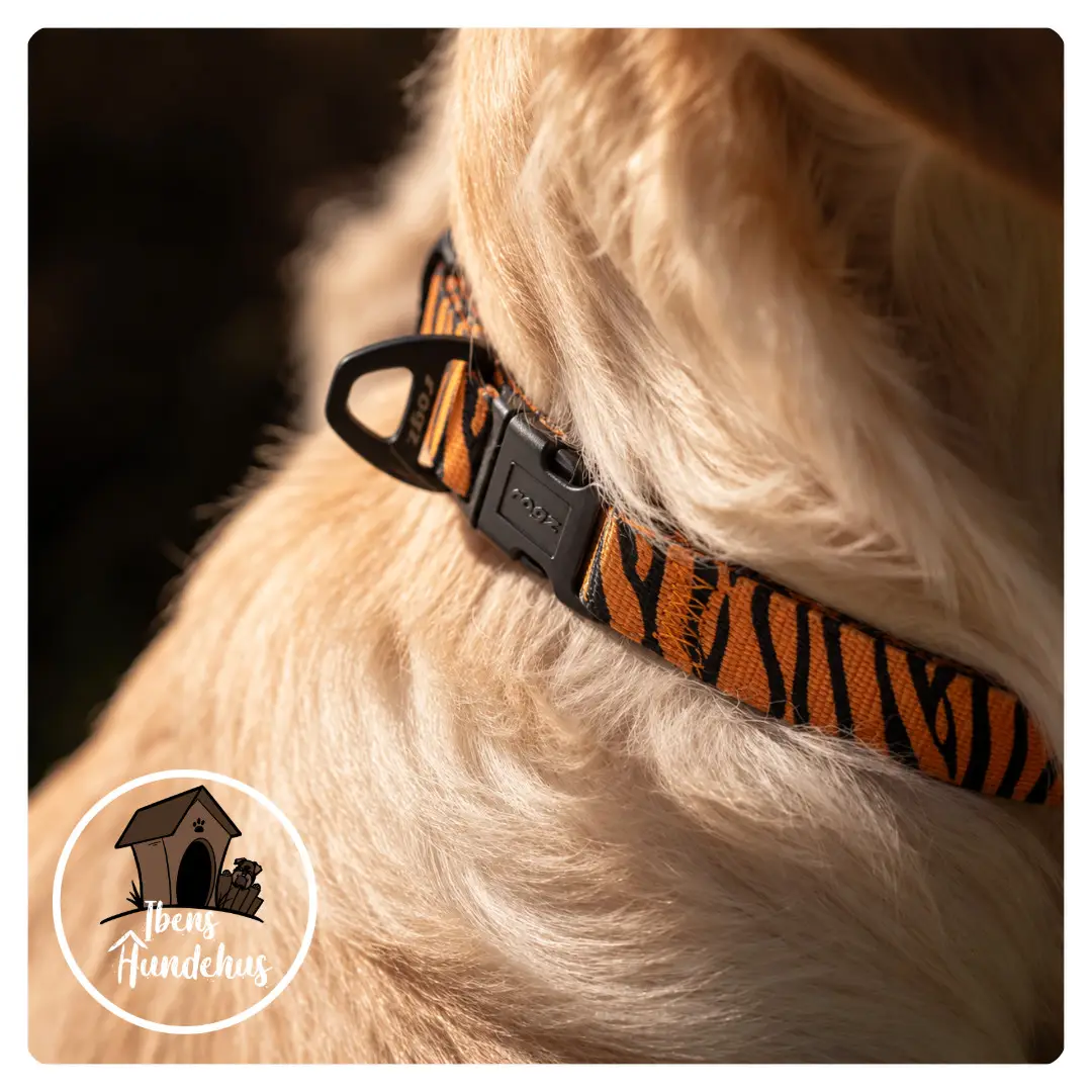 Rogz Nylonhalsbånd Fusiondog Wild Tiger - Ibens Hundehus