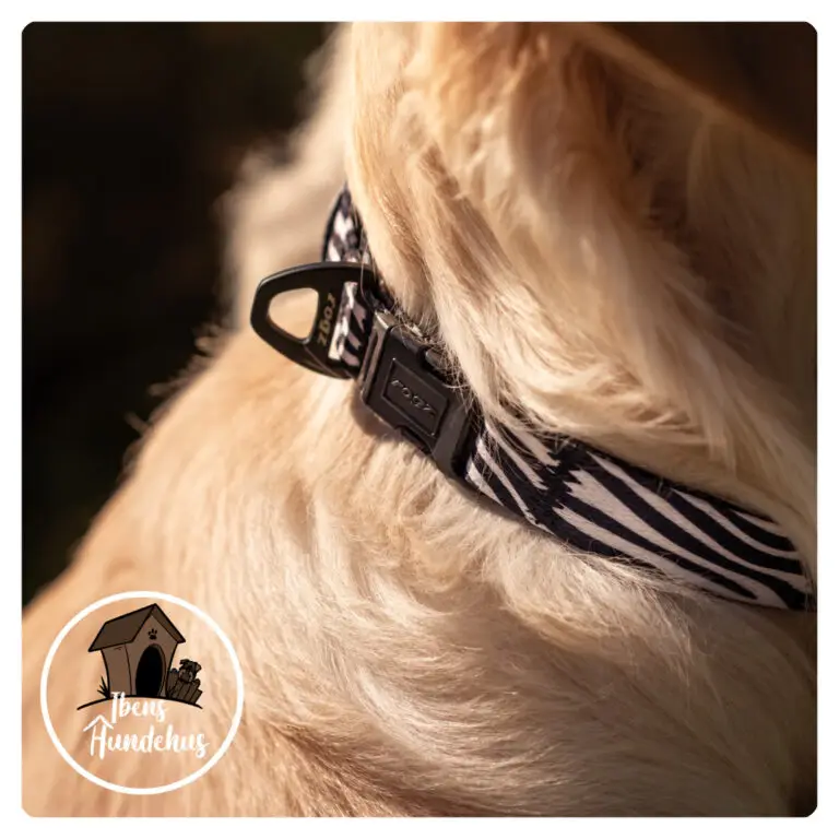 Rogz Nylonhalsbånd Fusiondog Wild Zebra - Ibens Hundehus