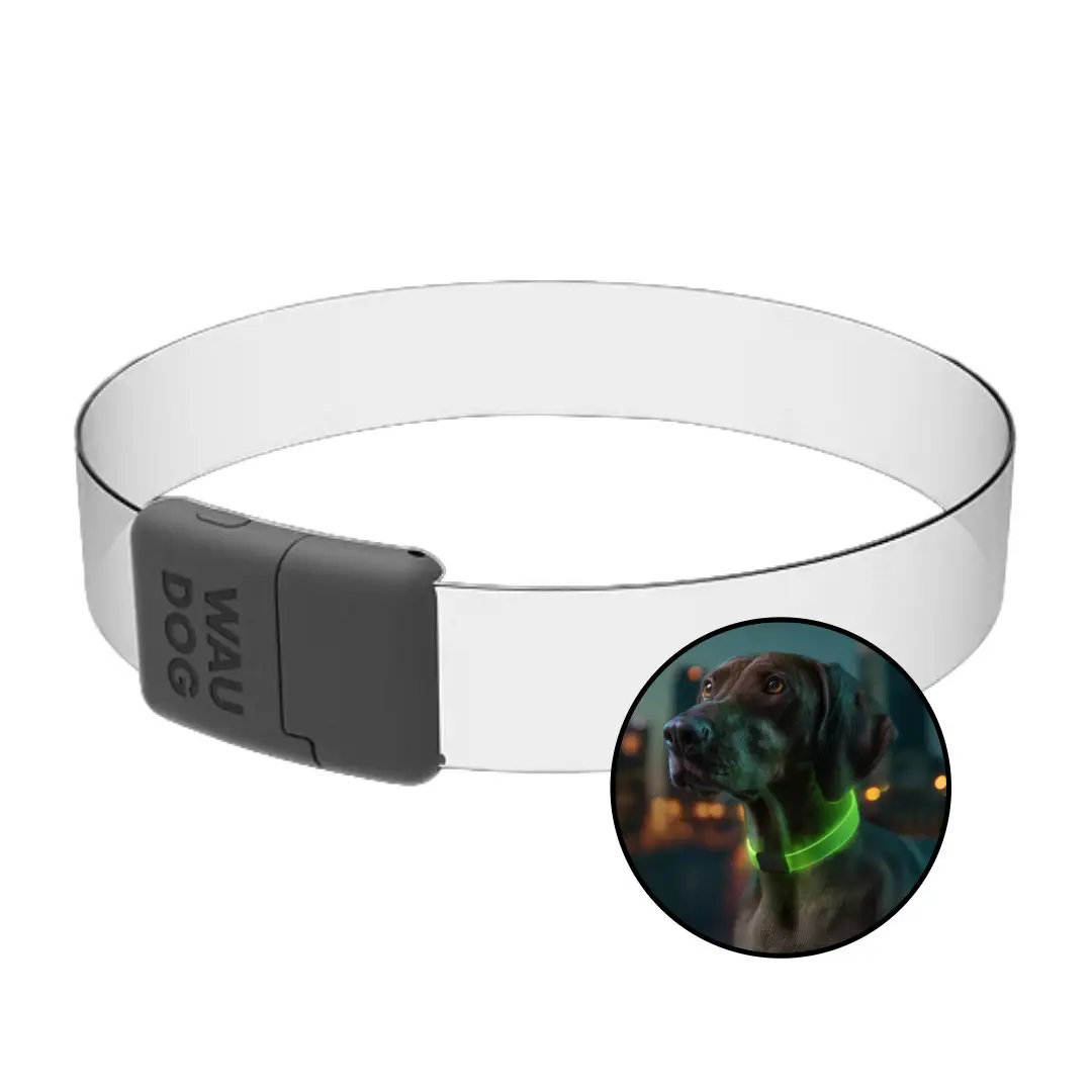 Waudog Genopladelig LED Lyshalsbånd