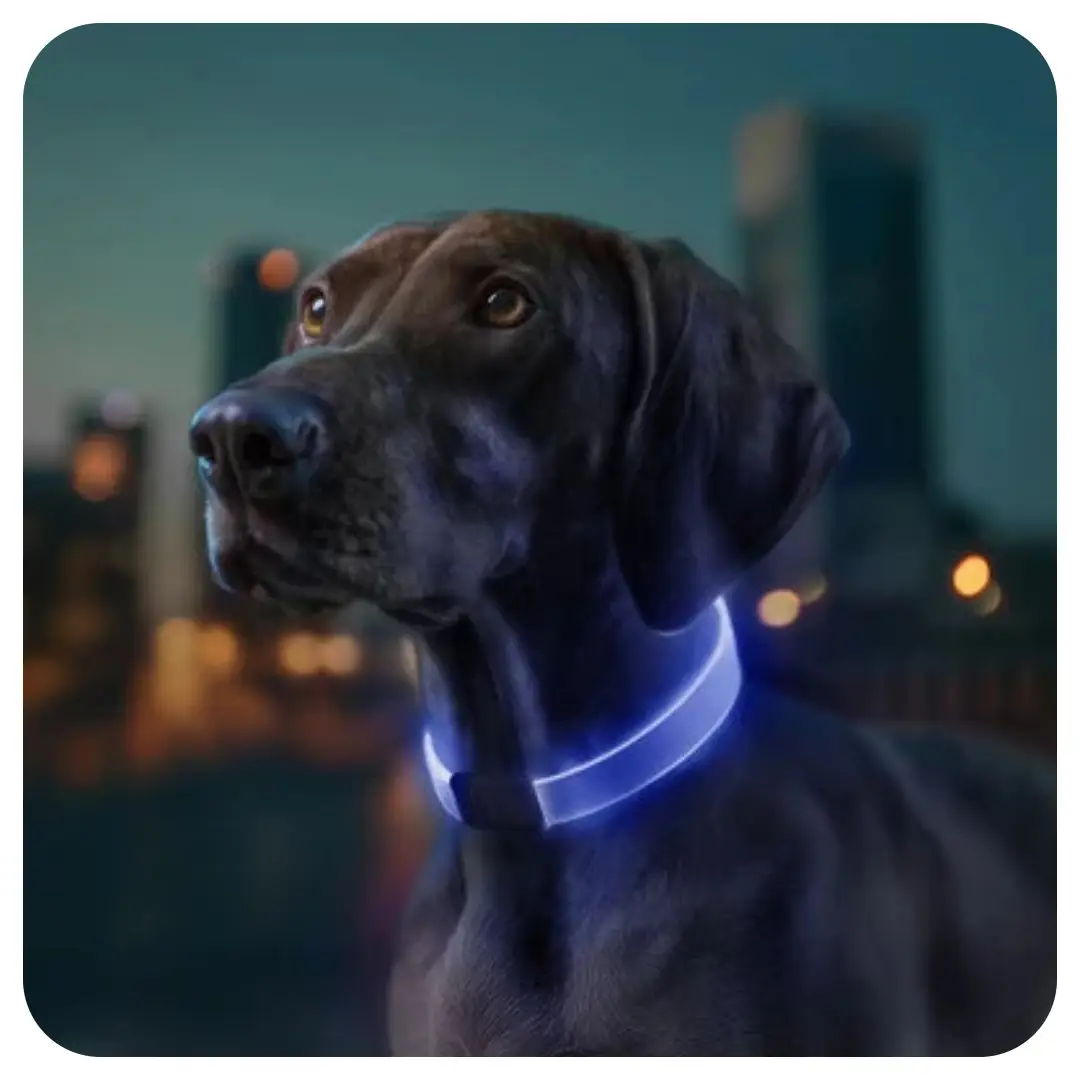 Waudog Genopladelig LED Lyshalsbånd - Billede 3
