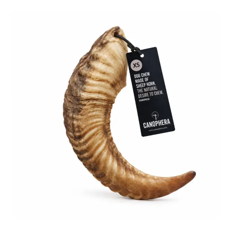 Canophera Lammehorn Naturligt Tyggeben XS