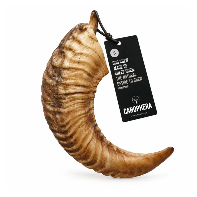 Canophera Lammehorn Naturligt Tyggeben Small