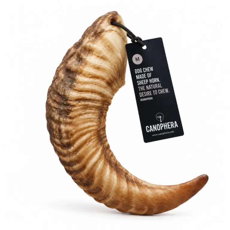 Canophera Lammehorn Naturligt Tyggeben Medium