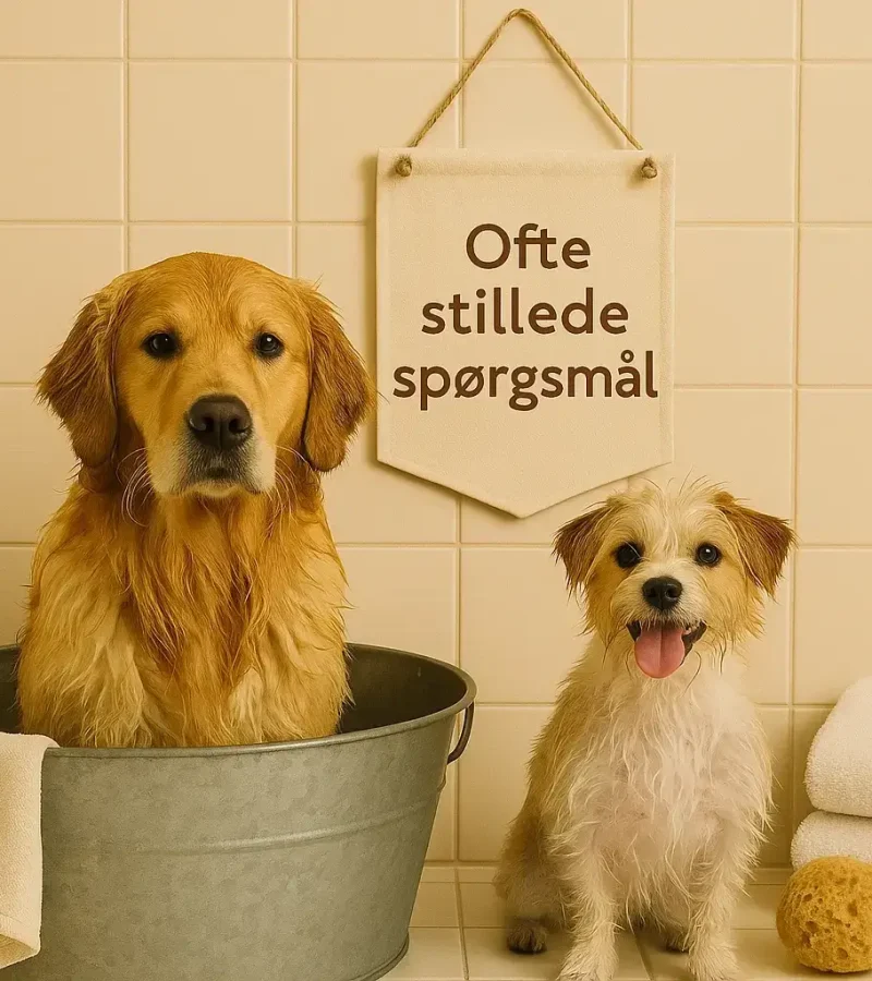 Ofte stillede spørgsmål_ Hundebad