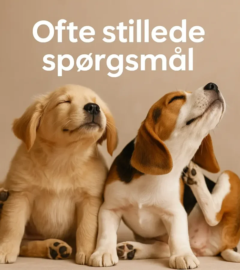 faq-lopper-flaater-taeger