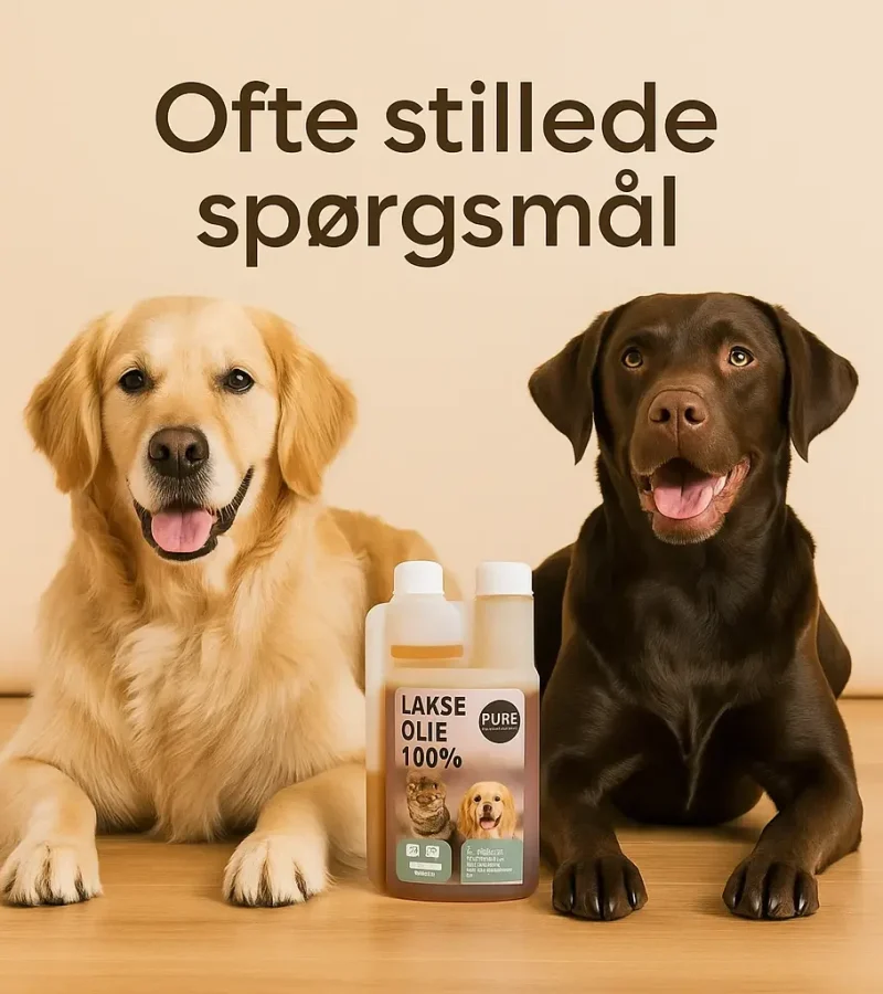 ofte stillede spørgsmål om fodertilskud